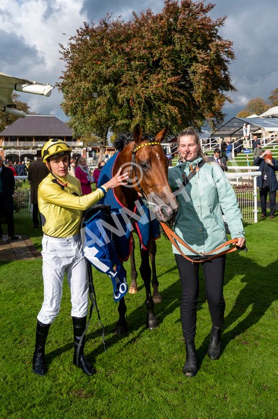 121024-Race 2-Bolster-7724 - Race 2 2.05pm Coral Daily Rewards Shaker Handicap