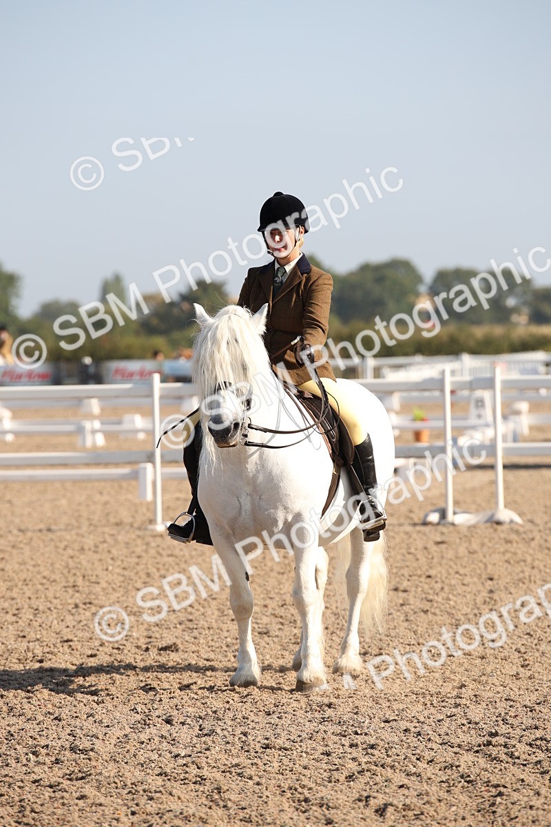 SBM_00696 - Class 14 Ridden M&M Wildcard