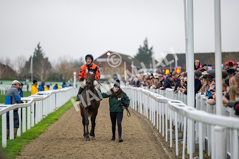 151125-Race 4-Panic Attack-0886 - Race 4