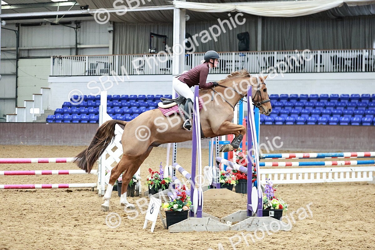 SBM_000197 - Class 1 - Clear Round Show Jumping 80cm