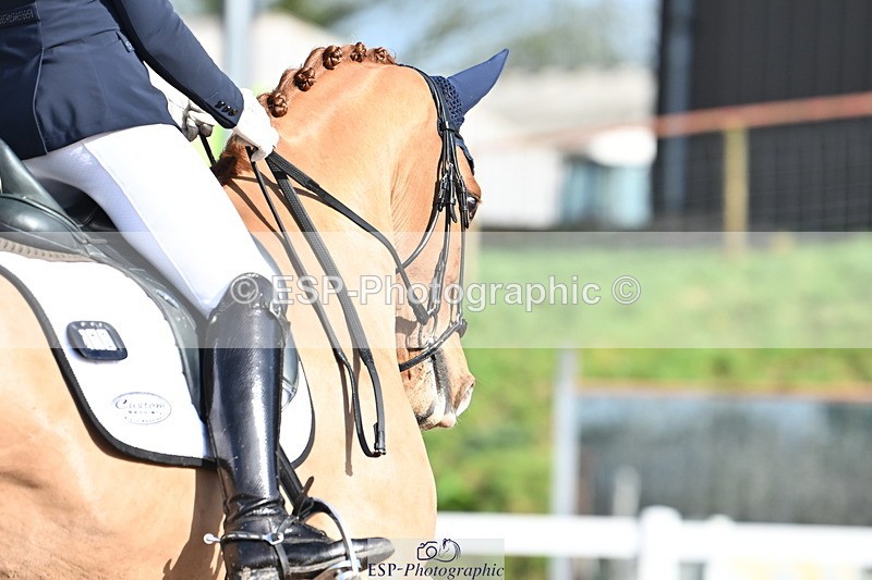 240218A-114223-06814 - 272-Beth.Bainbridge-Newton.Dreamcatcher