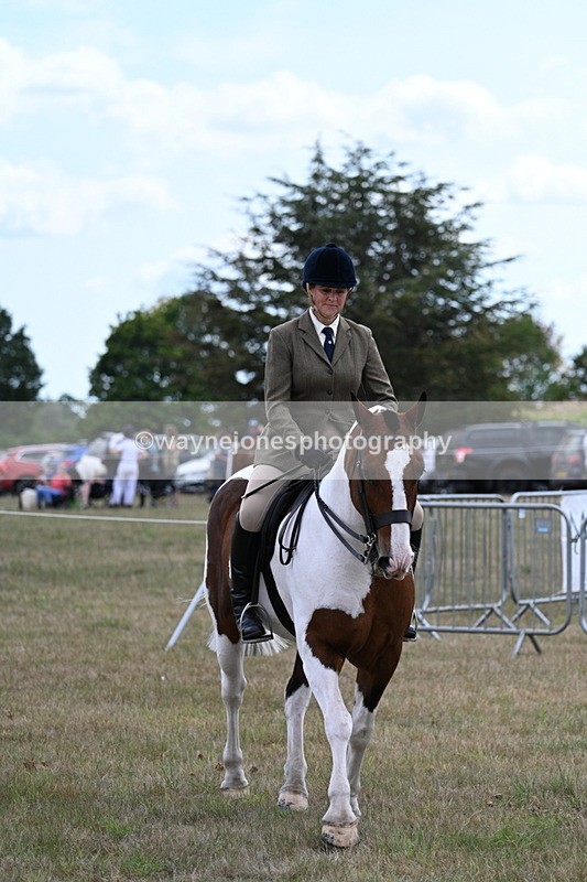 WJ7_5186 - Class 12 Ridden Cob
