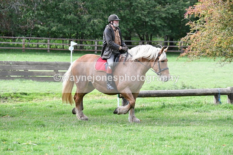 WJ5_9337 - Time 13:03 to 13:25