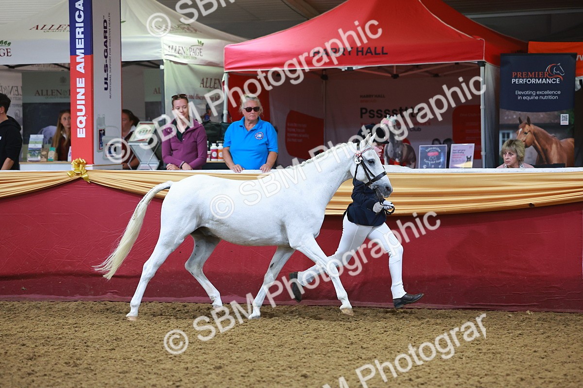 SBM_14663 - Class B - Junior Champ 11 to 16 Years