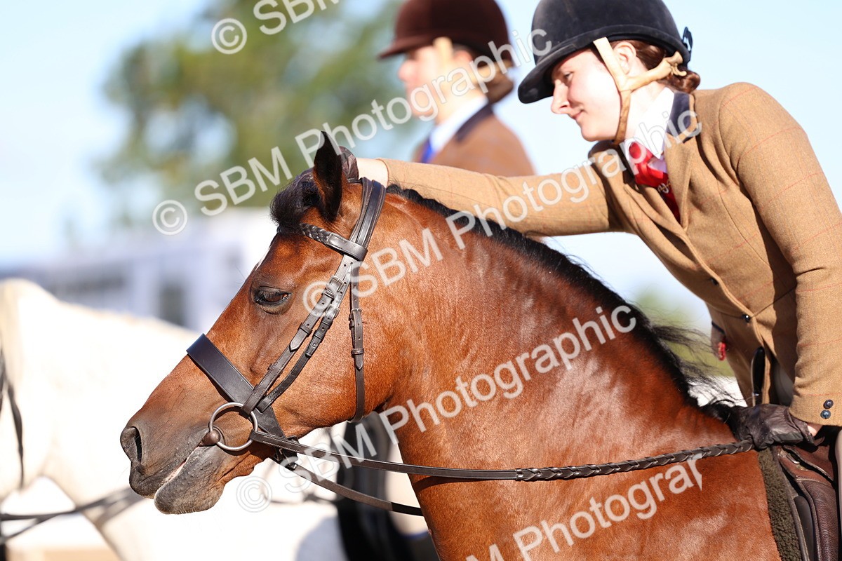 SBM_08845 - Class 302 - Ridden M&M - Large Breeds