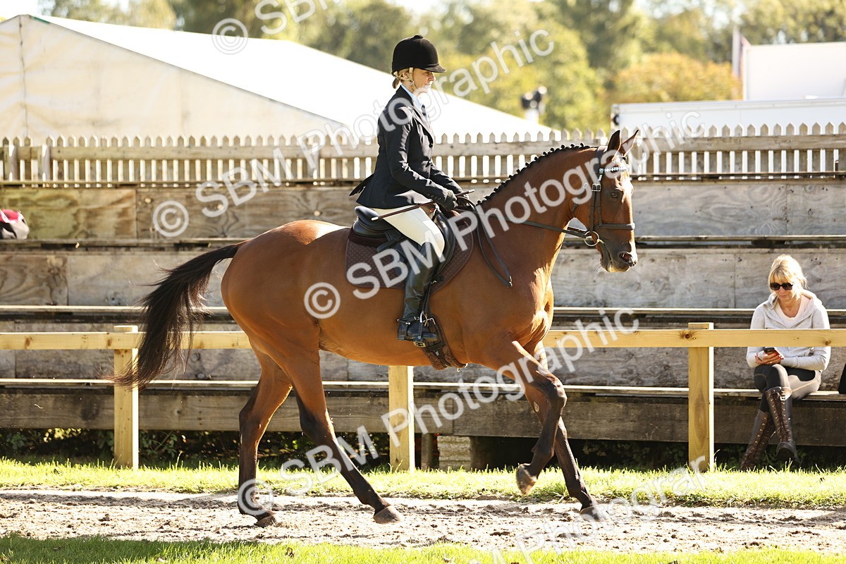 SBM_16951 - S2 - TSR Ridden Pony Showing