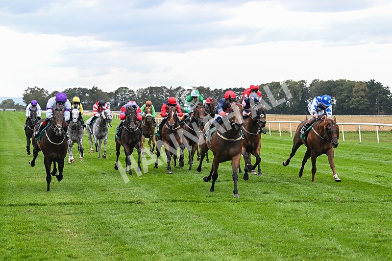 060925-Race 5-Eternal Sunshine-5877 - Race 5