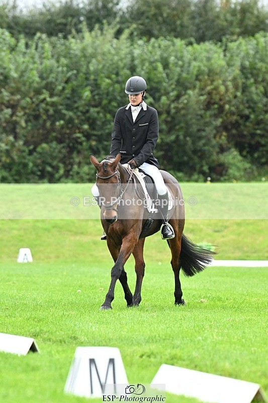 241024-111022-03153 - 504-Harry.Robinson-WHAT.A.WONDER