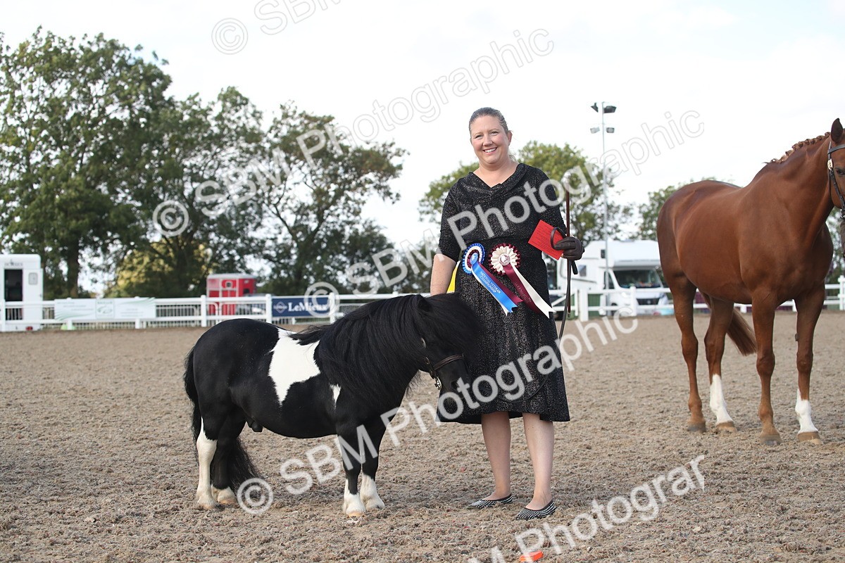 SBM_23160 - Class 606 - 2026 - Area - IH Pre Vet