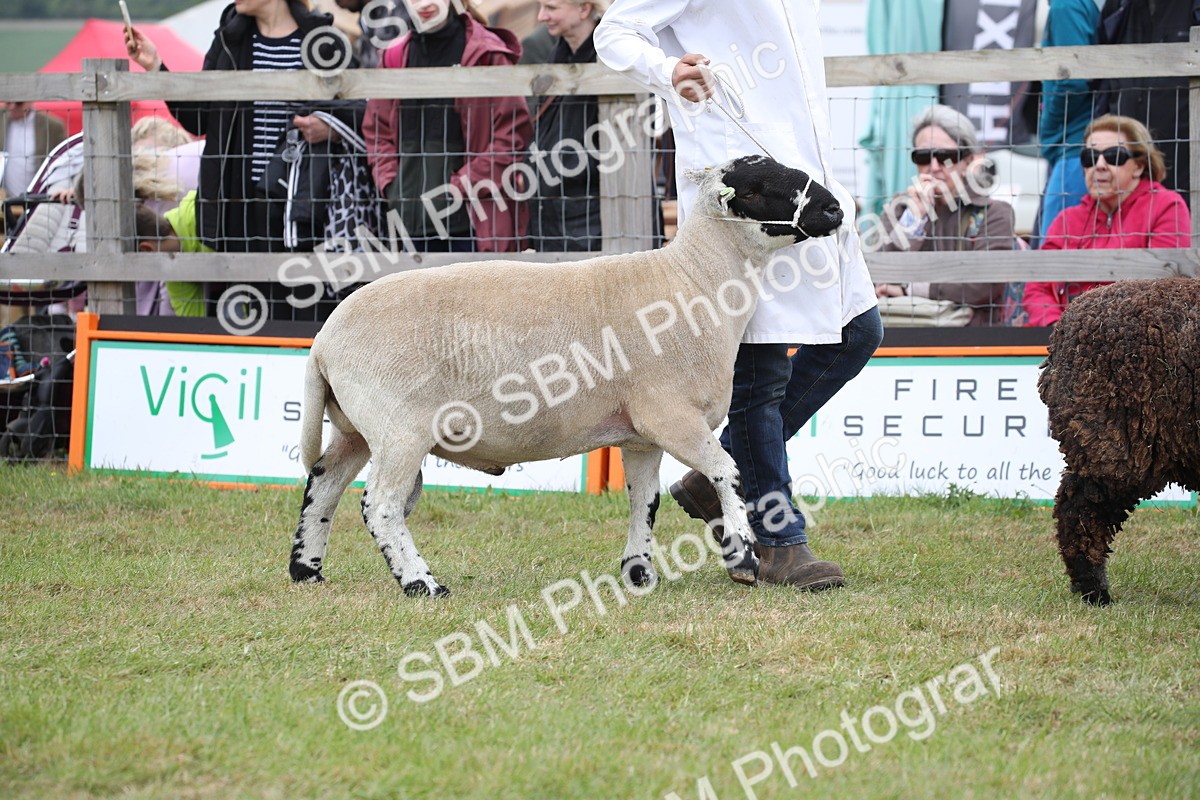 SBM_07784 - Grand Parade