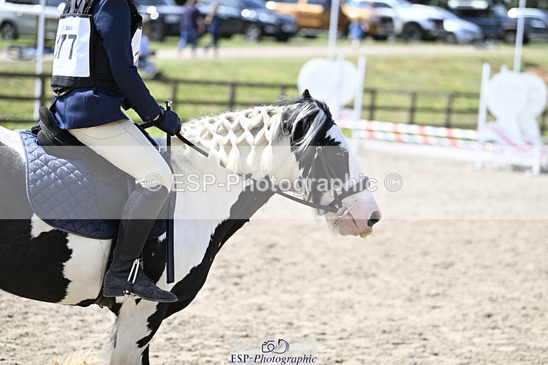 240823X-124831-17211 - 60cm R2 12.30 to 14.40 - All Photos