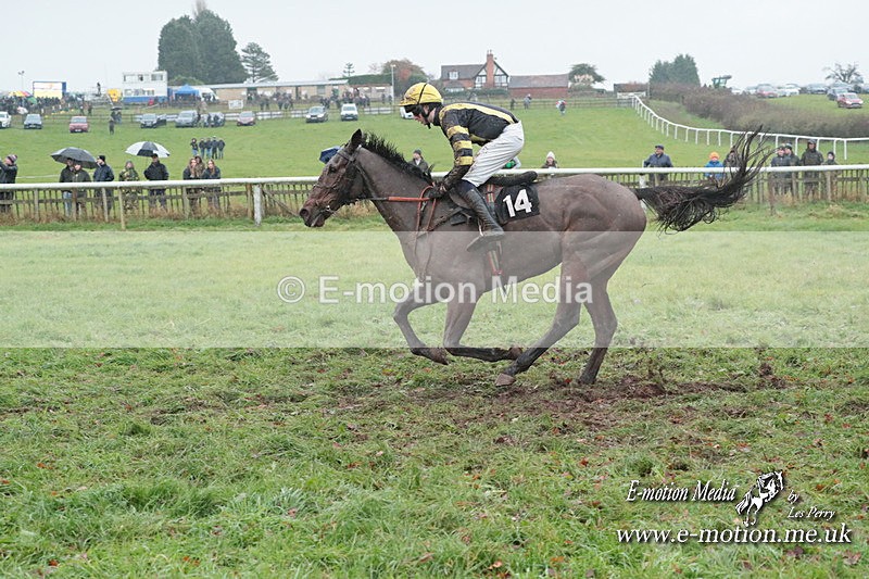PtP 031223 712 - Wheatland Hunt PtP Chaddesley Races 03/12/23