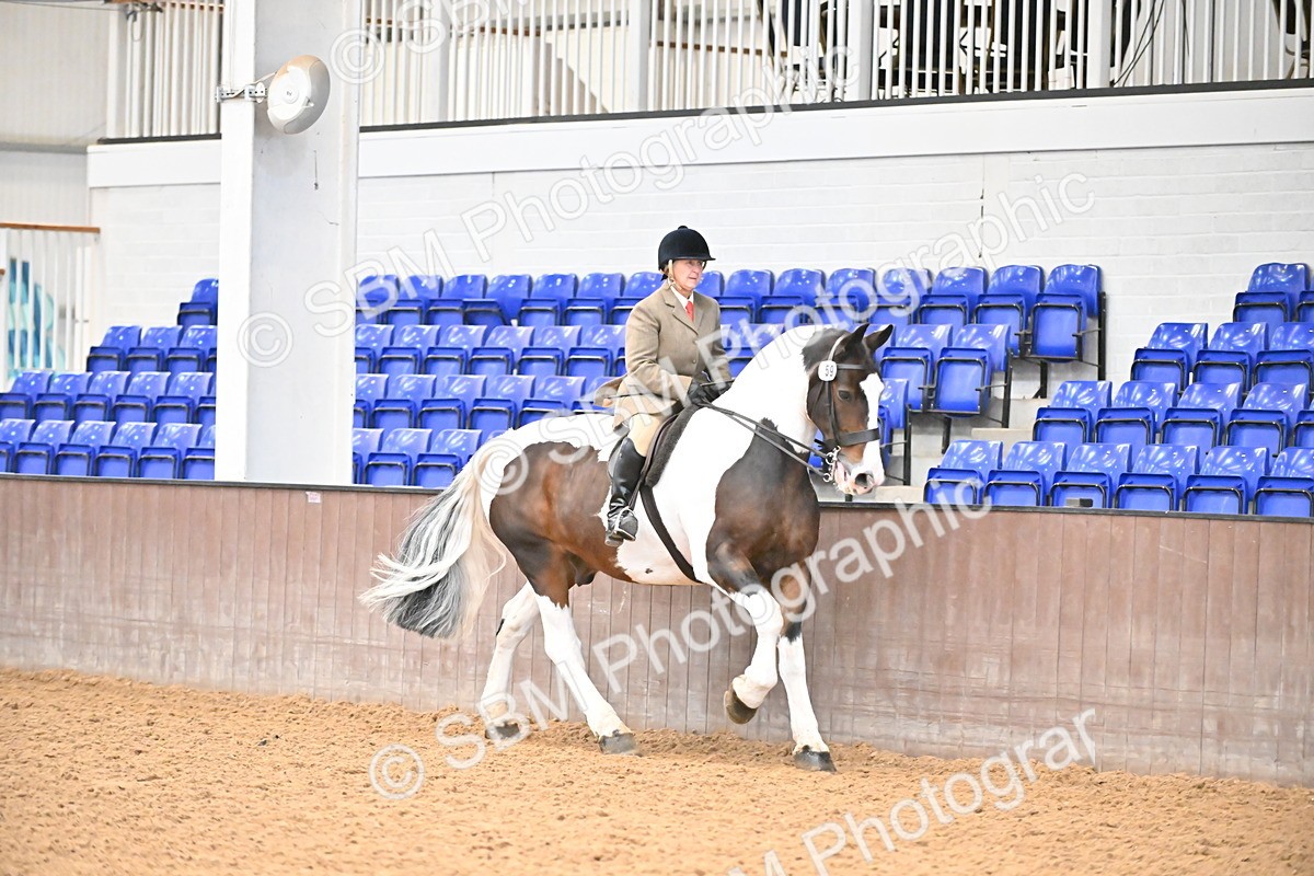 SBM_002633 - Class 28,29 - Ridden Irish & Coloured