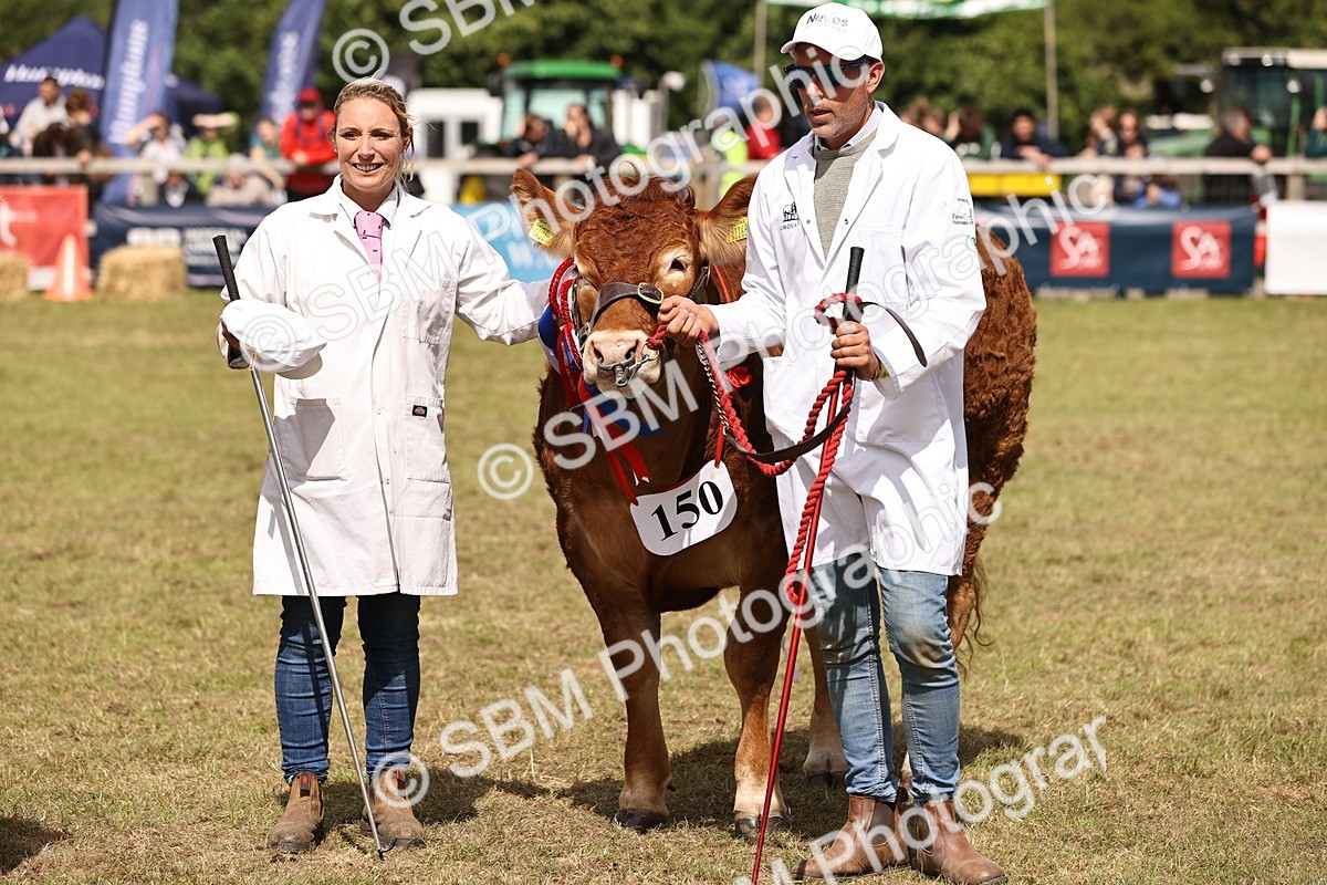 SBM_16937 - Grand Parade