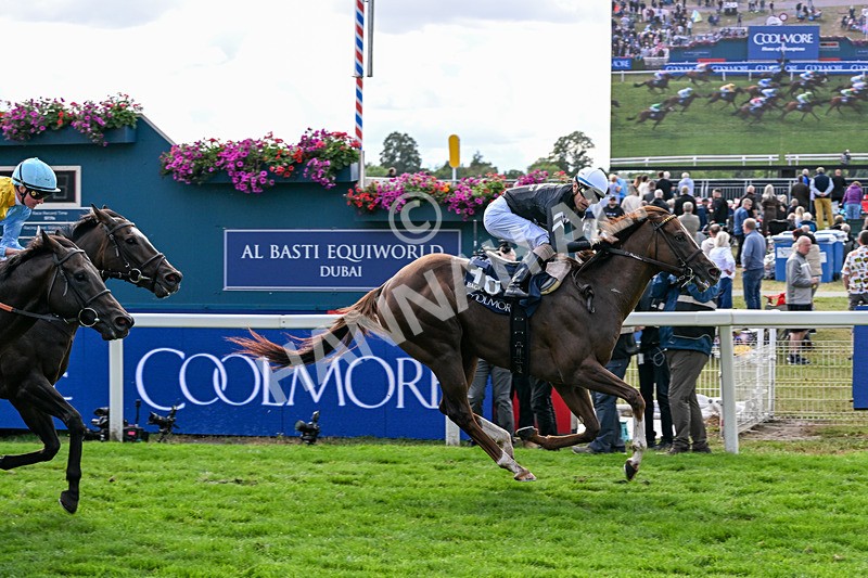 210826-Race 4-Bacio-6226 - Race 4 15.35pm Coolmore City Of Troy Nunthorpe Stakes