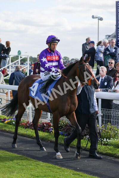 yr12052022r6-5 - Race 6 4.45pm Frank Whittle Partnership EBFstallions.com Maiden Stakes