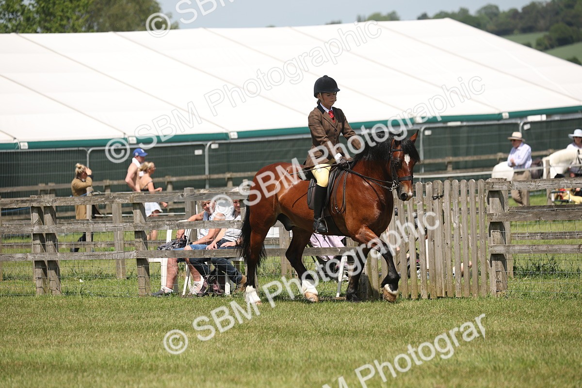 SBM_06884 - Class 26-30 - Mountain and Moorland Ridden