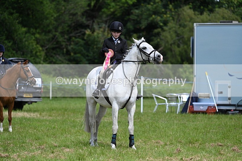 WJ7_1840 - Class 9 Pony Club Pony