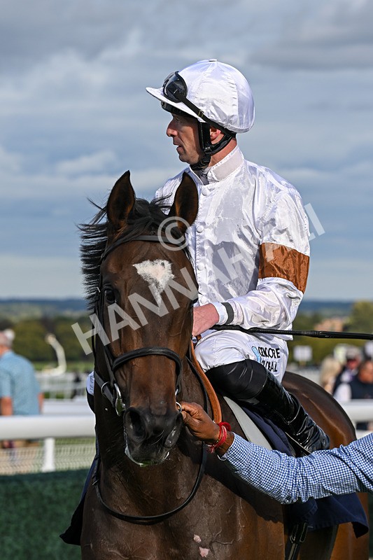 160926-Race 6-Roku Nana-1431 - Race 6 4.50pm EBF Fillies' Restricted Novice Stakes