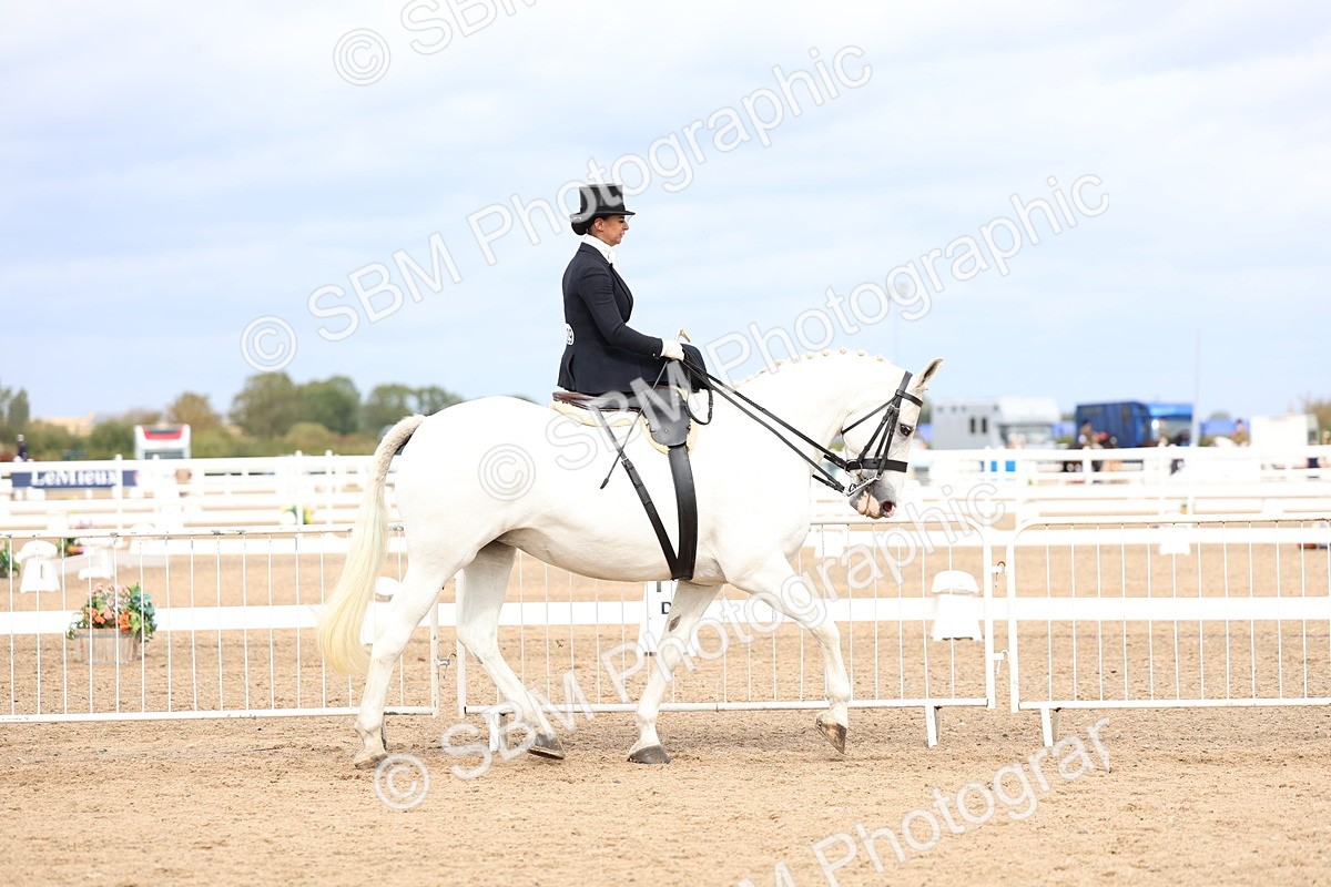SBM_03393 - Class 24 - SSA Concours d'elegance (any age)