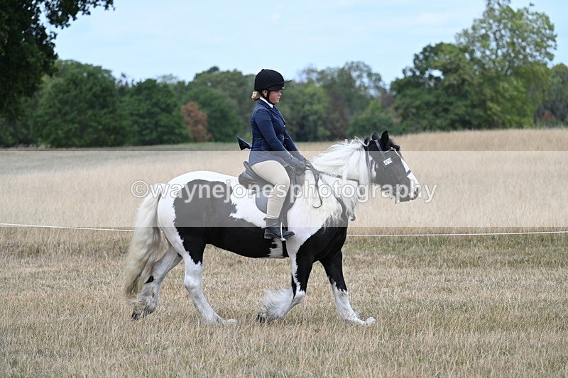 WJ7_4800 - Class 12 Ridden Cob