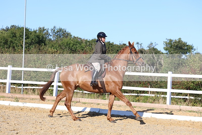 3E7A5176 - Class 7: Novice Ridden Hunter/Hack/RH/Cob