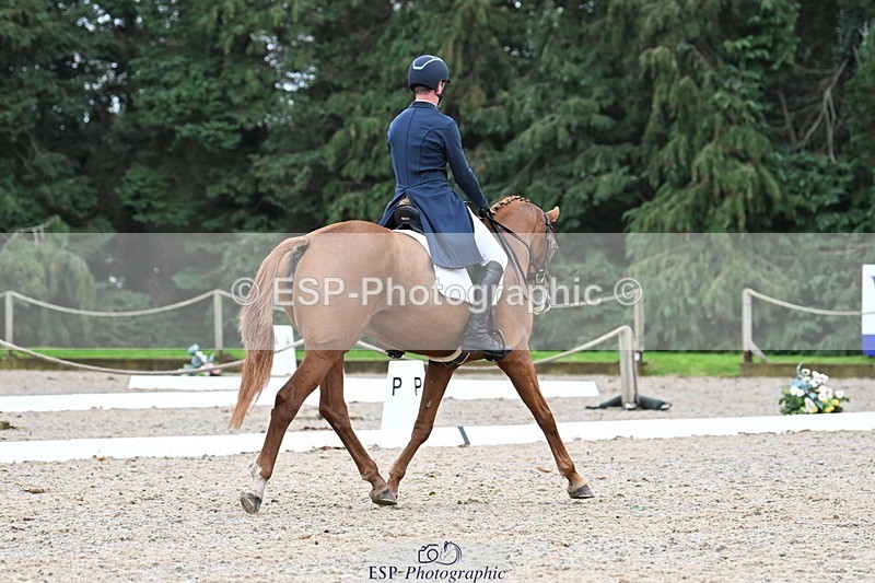 231019-162725-05337 - 069-LUSUELA-Will.Furlong-DR