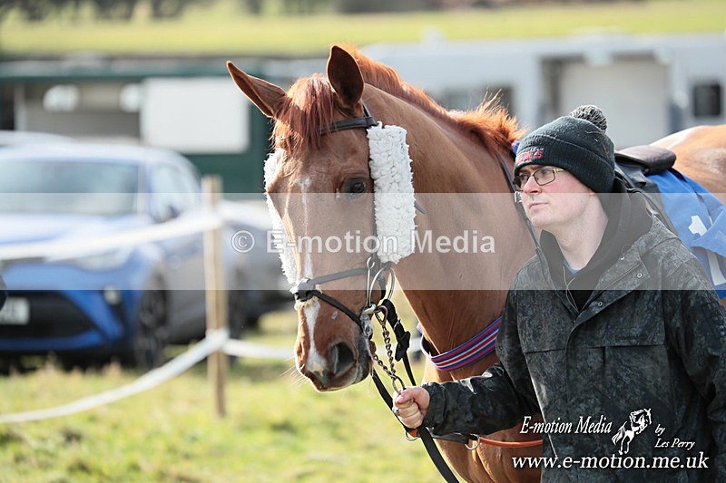 PtP 220225 420 - Kimblewick Point-to-Point  Kingston Blount 22/02/25