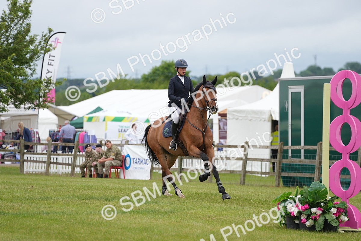 SBM_03253 - Class 201 - British Horse Feeds Speedi Beet Horse of the Year Show Grade  C