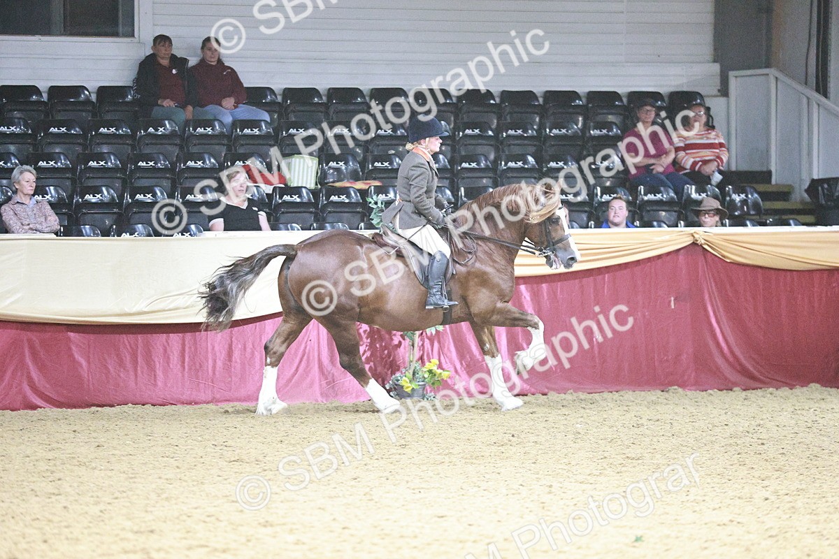 SBM_08925 - Class 12R - Regional Ridden Pre-Vet