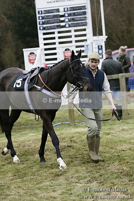 PtP 110318 186 - Hampshire Hunt Point-to-Point Hackwood Park 11/03/18