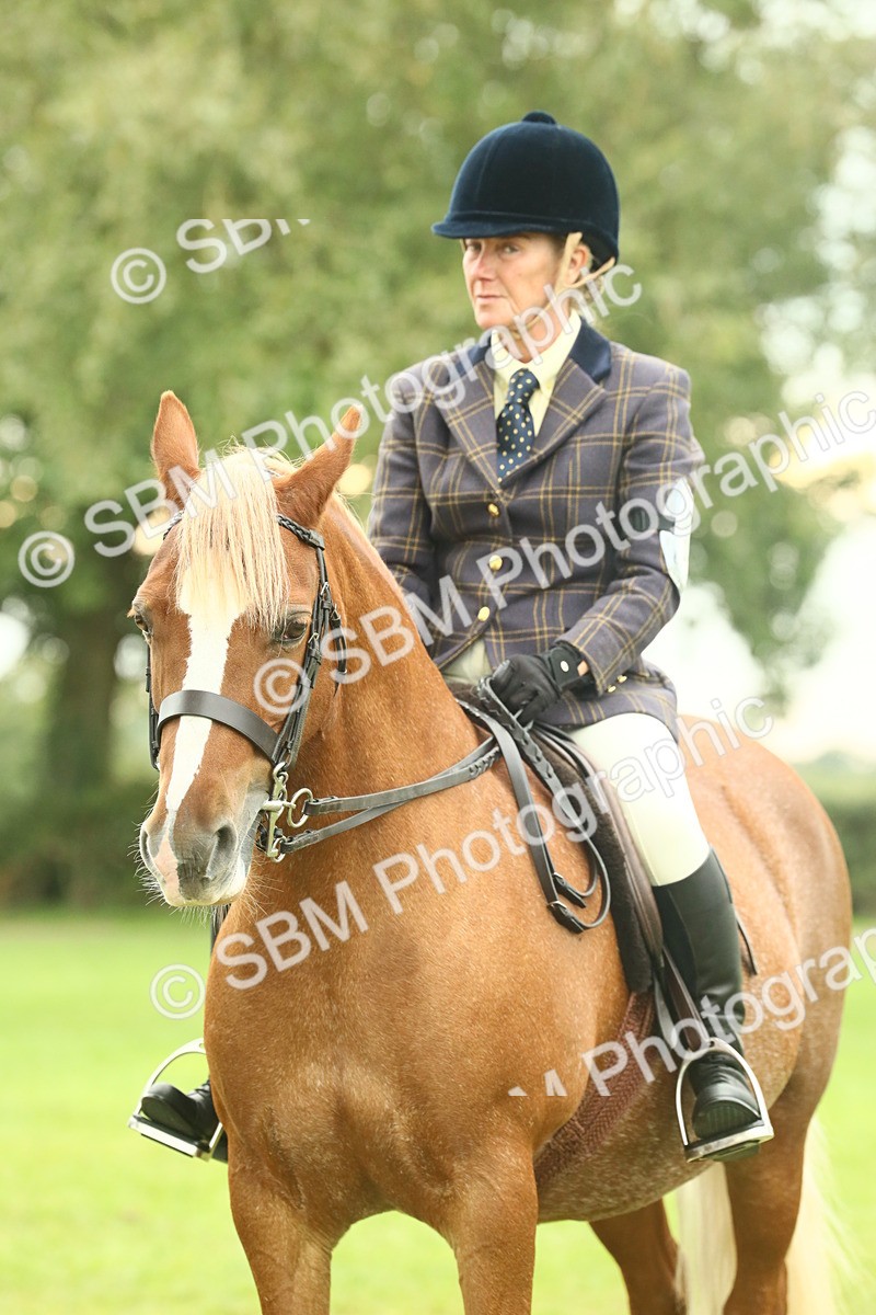 SBM_72254 - S60 - Mountain & Moorland Ridden Large Breeds