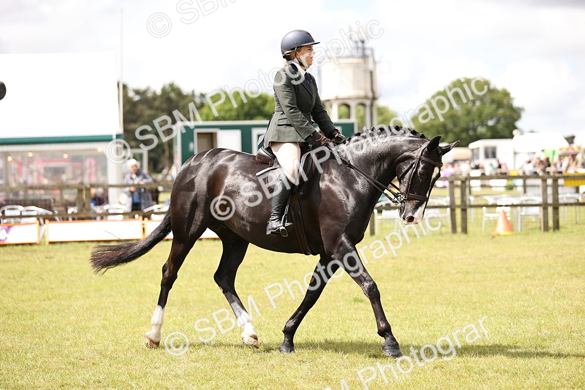 SBM_14578 - Class 88-89 - LIHS BSHA Rising Star of Ridden Hunter Type