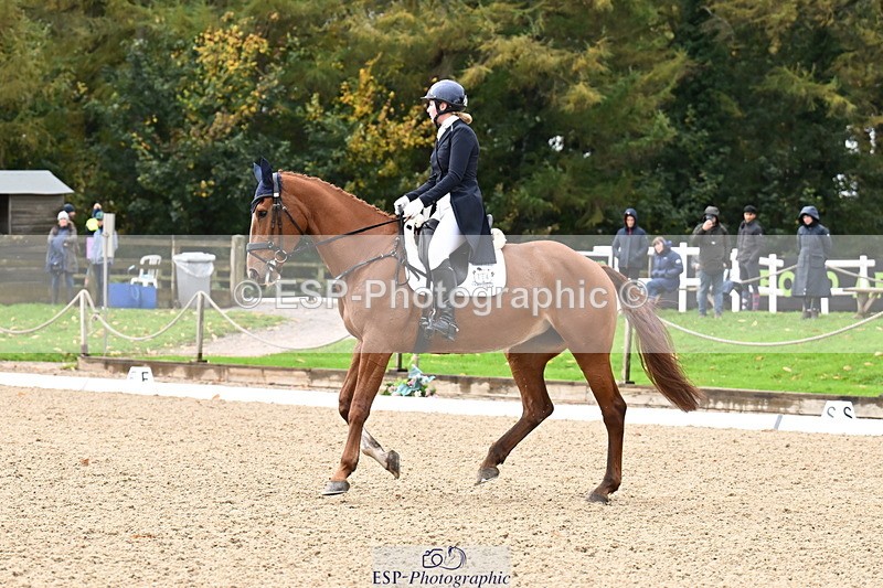 251023A-124317-02312 - B-154-Holly.Law