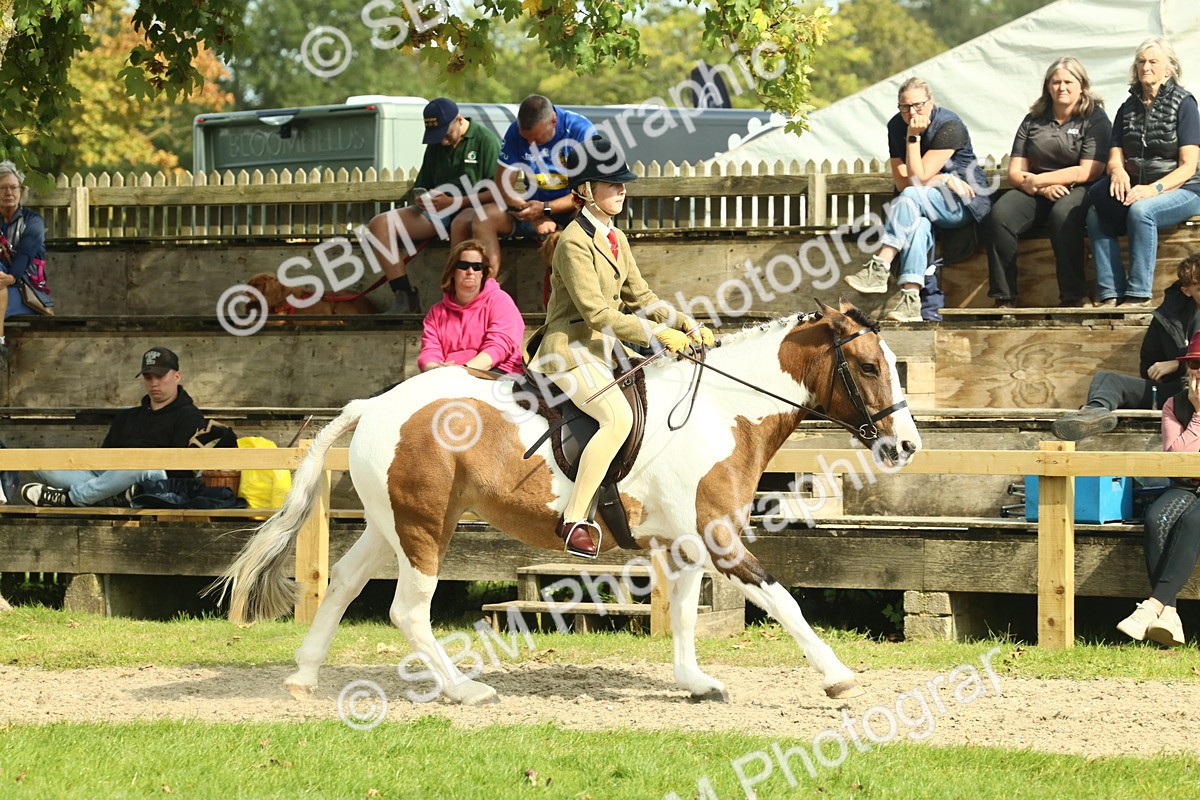SBM_67666 - S56 - Coloured Pony Ridden