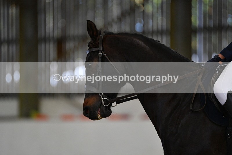 WJ5_7263 - Class 2 Intro Test 2