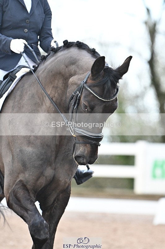 240218A-104044-05633 - 206-Sian.Axten-MSJ.Gabriella