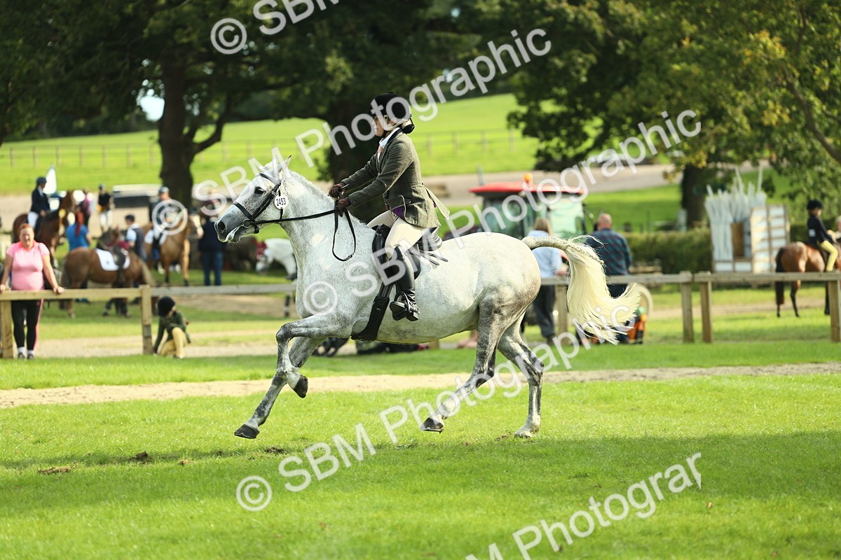 SBM_50639 - S33 - Working Hunter & Working Show Horse