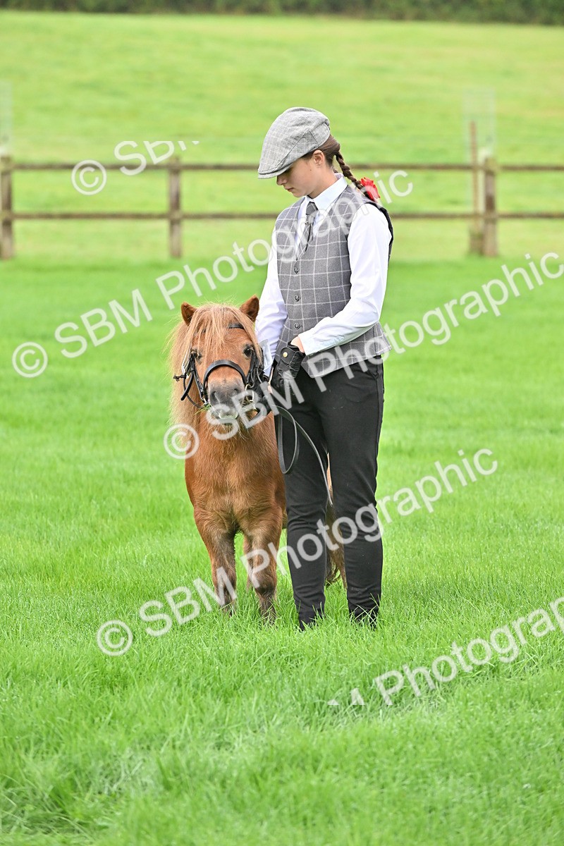 SBM_32633 - S15 - Top Turnout In Hand