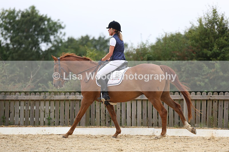 3E7A7458 - Class 9: Elementary 4 2024 - No sections