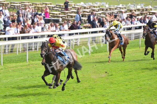 yr10072021r4-9 - Race 4: 3.30pm John Smith's Nursery Stakes