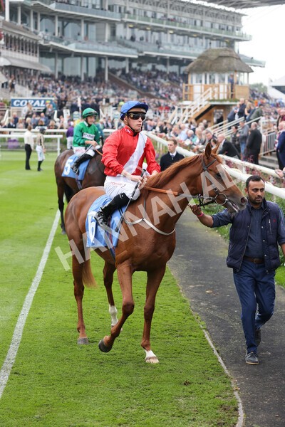 yr09102021r1-15 - Race 1 1.30pm Watch Racing Free Online At Coral Nursery Handicap
