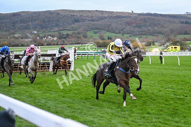 171124-Race 5-Burdett Road-4298 - Race 5