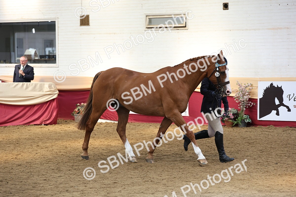 SBM_24101 - Class 905 - Supreme Final - Ridden Veteran