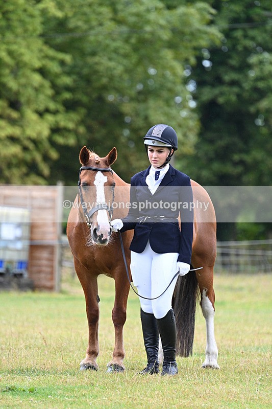 WJ7_6332 - Class 4a Prettiest Mare over 14hh