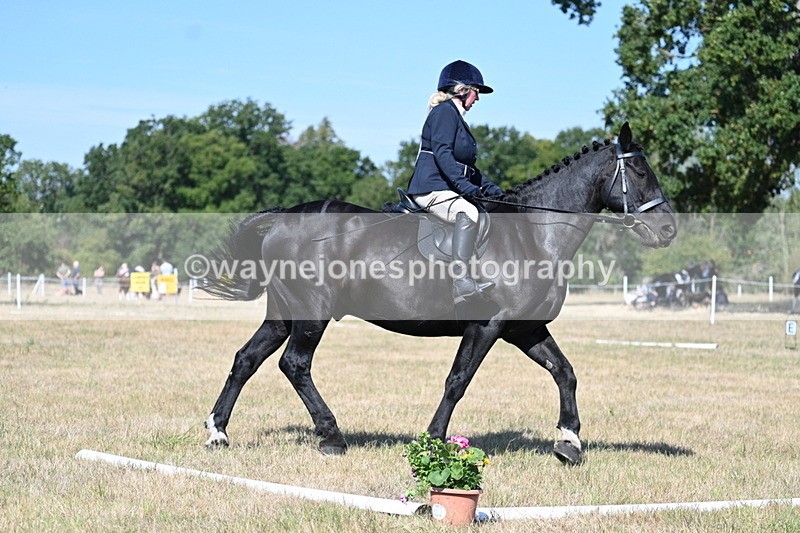 WJ7_9928 - Time 11:03 to 11:28