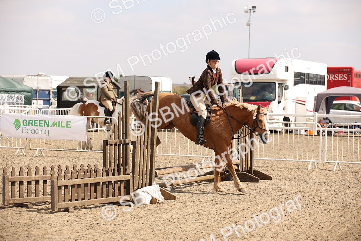 SBM_14301 - Class 407b - Working Veteran 60cm (20+)