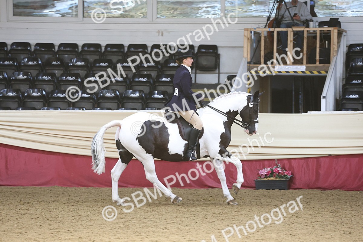 SBM_23760 - class 906 - Supreme Final - Ridden Pre Vet