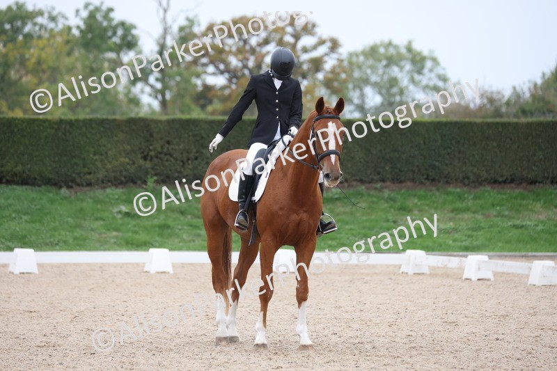 20251011-0559 - Class 6 - Elementary 1