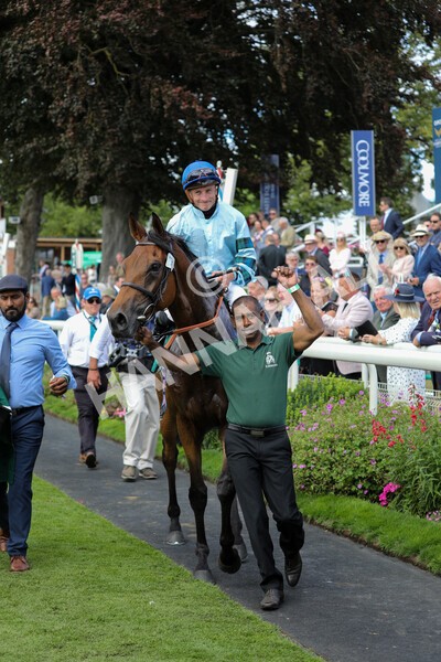 yr19082022r2-48 - Race 2 2.25pm Weatherbys Hamilton Lonsdale Cup (British Champions Series Race)